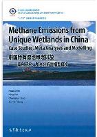 Methane Emissions From Unique Wetlands In China