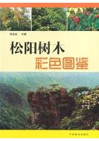 Coloured Illustrations of the Trees in Songyang