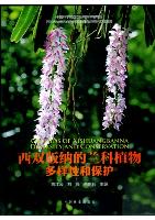 Orchids of Xishuangbanna Diversity and Conservation 