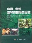 Colored Atlas of Higher Fungi from Guizhou in China (Ebook, PDF)