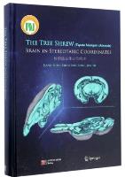 The Tree shrew (Tupaia Belangeri Chinensis) Brain in Stereotaxic Coordinates