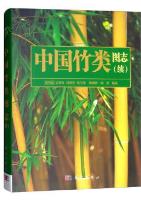 Atlas of Chinese Bamboo（Iconographia Bambusoidearum Sinicarum）(Continued)