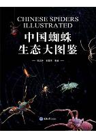 Chinese Spiders Illustrated 