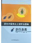 Primary Color Illustration of Soil Beetles in Northeast China-Carabid