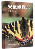 Butterfly Fauna of Anhui