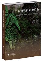 Lycophytes and Ferns of Jingning