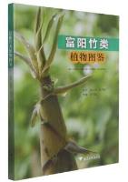 Illustrations of Bamboos in Fuyang