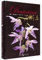 Dendrobium
