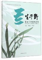 Orchids in Zijin of China