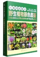 Color Illustrations of Wild Plants in the Mount Yiwulv Area (With CD-ROM) 