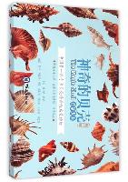 The Magic Shell (Vol.1)