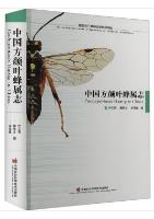 Pachyprotasis Hartig in China