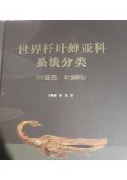 Systematic classification of the Subfamily Phylacanthinae in the world: Hemiptera: Cicadellidae