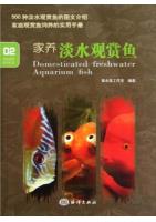 Domesticated Freshwater Aquarium Fish