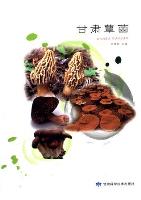 Mushrooms of Gansu