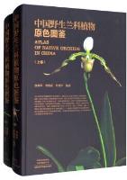 Atlas of Native Orchids in China ( 2 Volumes set)