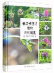 Atlas of Identification on Wetland Plants in Maidika