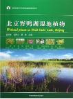 Wetland Plants in Wild Duke Lake, Beijing