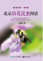 Photographic Atlas of Beijing Flower-Visiting Insects