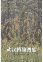 Illustrated Handbook Of Plants In Wuhan