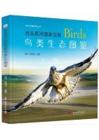 Ecological Atlas of Birds in Baotou Yellow River National Wetland