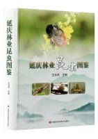 Atlas of Forestry Insect in Yanqing