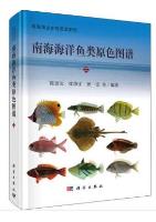 Coloured Illustrations of Sea fishes from South China Sea (2)