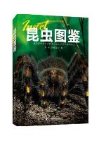 Insect