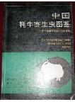 Illustrated Handbook of Chinese Yak Parasites 