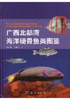 Marine Osteichthyes fishes in Guangxi Beibu Gulf of China