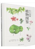 Illustrated Guide to Plants in the Yangtze River Basin (Vol.1)