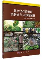 Atlas of Plant Disease and Fungus from Beijing Hanshiqiao Wetland
