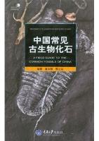 A Field Guide to the Common Fossils of China