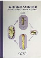 Iconography of Classification of the Larva Stage of Longicorn Beetles 