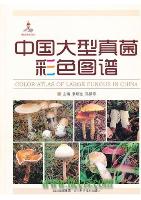 Color Atlas of Large Fungus in China