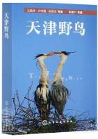 Wild Birds of Tianjing (Tianjin Ye Niao )