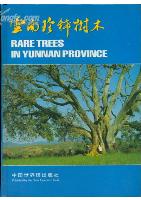 Rare Trees in Yunnan Province