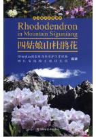 Rhododendron in Mountain Siguniang