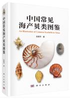 An Illustration of Common Seashells in China
