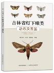 Atlas of Light Moths in Jilin