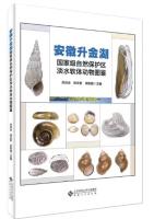 Illustrated Guide to Freshwater Mollusks in Shengjin Lake National Nature Reserve, Anhui Province