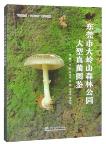 Atlas of Macrofungi in Dalingshan Forest Park, Dongguan City