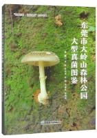 Atlas of Macrofungi in Dalingshan Forest Park, Dongguan City