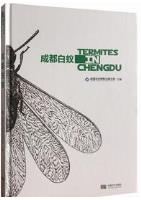 Termites in Chengdu