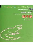 Chinese Alligator-Endangered Species of China Series