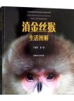 China's Golden Snub-Nosed Monkeys -Their Life Illustrated