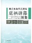 Atlas of Benthic Diatoms in Dongjiang River Basin of the Pearl River System