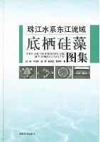 Atlas of Benthic Diatoms in Dongjiang River Basin of the Pearl River System