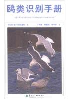 A Gull Identification Handbook Revised Edition