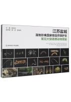 An Illustrated Guide to Common Macrobenthos of Jiangsu Yancheng Wetland Rare Birds National Nature Reserve
